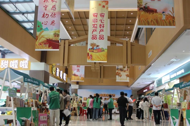 新澳门开奖记录查询今天